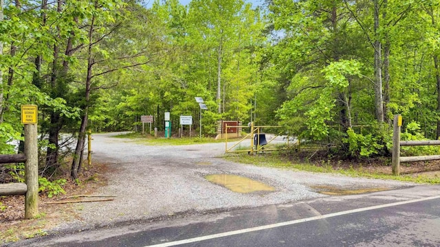 1170 Ascalon Rd, Rising Fawn, GA 30738 - view of dirt / gravel driveway
