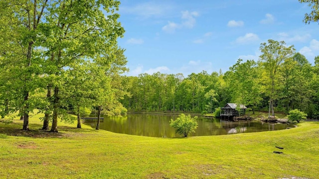 1170 Ascalon Rd, Rising Fawn, GA 30738 - view of green lawn with a water view and a wooded view