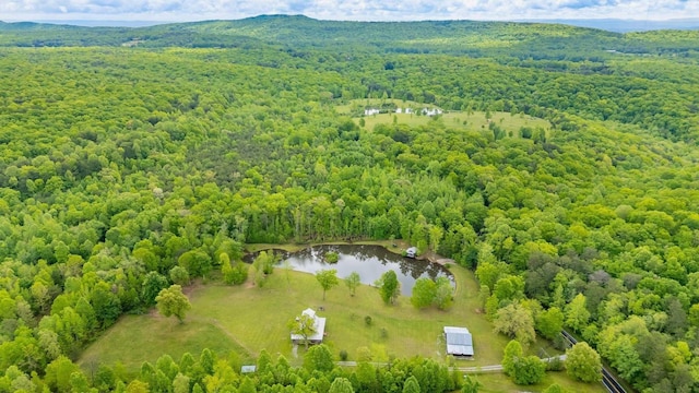 1170 Ascalon Rd, Rising Fawn, GA 30738 - aerial view of a heavily wooded area and a large body of water