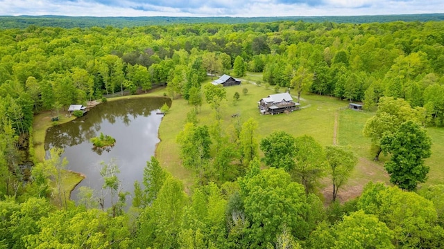 1170 Ascalon Rd, Rising Fawn, GA 30738 - bird's eye view of a heavily wooded area and a nearby body of water