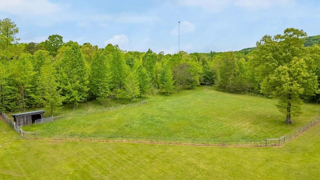 1170 Ascalon Rd, Rising Fawn, GA 30738 - view of yard