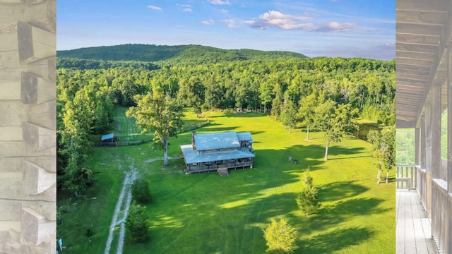 1170 Ascalon Rd, Rising Fawn, GA 30738 - drone / aerial view of a forest