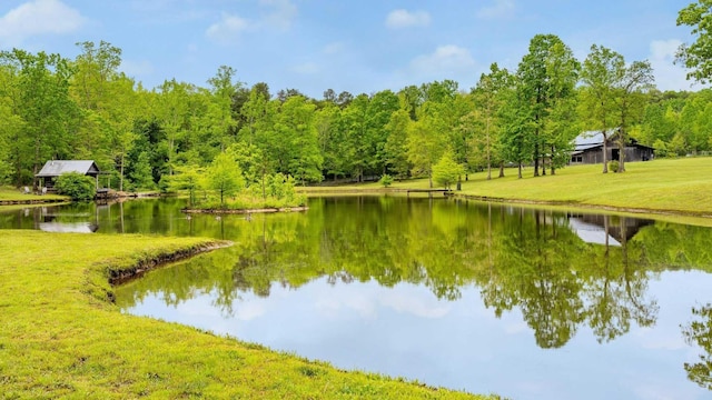 1170 Ascalon Rd, Rising Fawn, GA 30738 - water view with a heavily wooded area