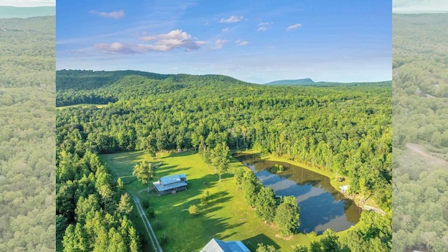1170 Ascalon Rd, Rising Fawn, GA 30738 - bird's eye view of a forest and a nearby body of water