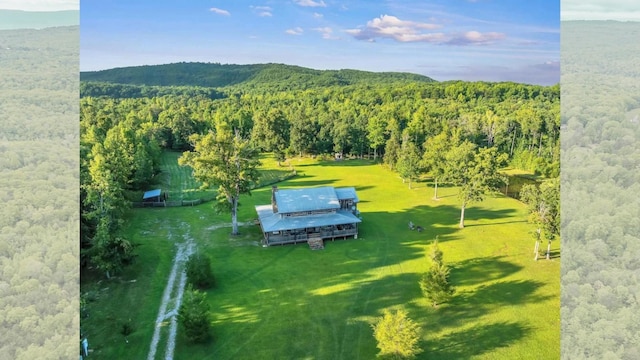 1170 Ascalon Rd, Rising Fawn, GA 30738 - aerial view of a forest