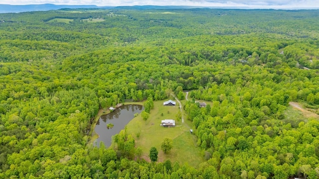 1170 Ascalon Rd, Rising Fawn, GA 30738 - bird's eye view of a forest and a large body of water