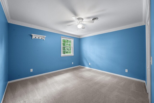 1104 Hunters Trail Dr, Franklin, TN 37069 - photo 39