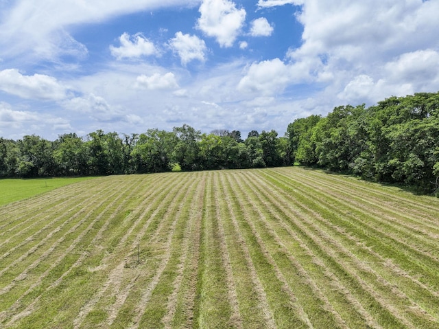 0 Midland Rd, Bell Buckle, TN 37020 - photo 9