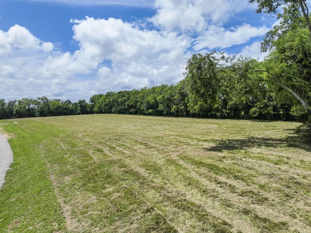 0 Midland Rd, Bell Buckle, TN 37020 - photo 8