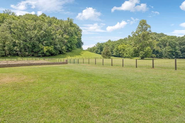 79 Clay Jones Rd, Taft, TN 38488 - photo 58