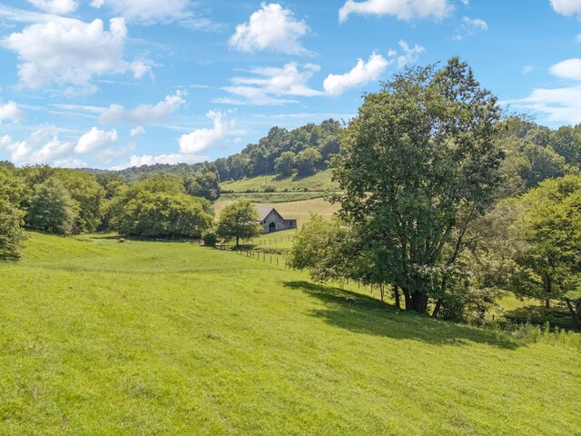 79 Clay Jones Rd, Taft, TN 38488 - photo 74