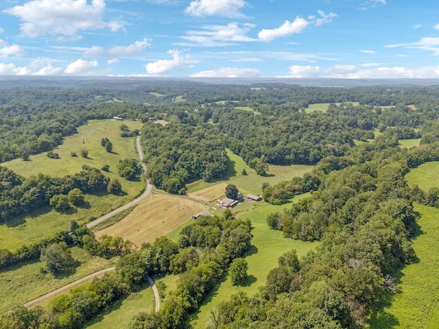 79 Clay Jones Rd, Taft, TN 38488 - photo 62