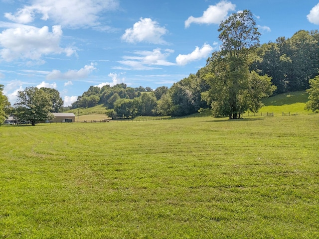 79 Clay Jones Rd, Taft, TN 38488 - photo 72