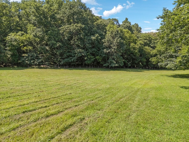79 Clay Jones Rd, Taft, TN 38488 - photo 68