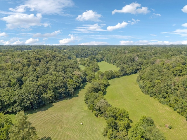 79 Clay Jones Rd, Taft, TN 38488 - photo 66