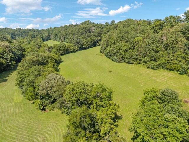 79 Clay Jones Rd, Taft, TN 38488 - photo 70