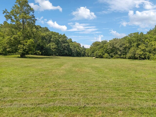 79 Clay Jones Rd, Taft, TN 38488 - photo 67