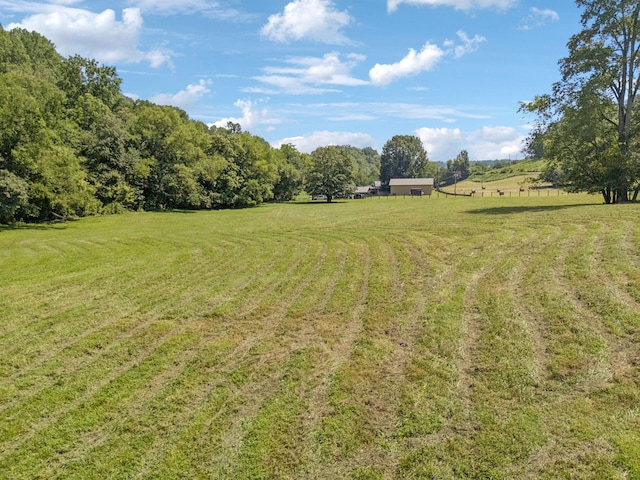 79 Clay Jones Rd, Taft, TN 38488 - photo 71