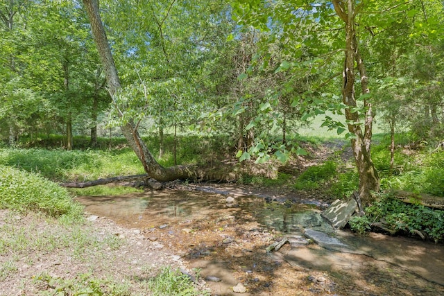 79 Clay Jones Rd, Taft, TN 38488 - photo 60