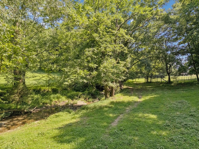 79 Clay Jones Rd, Taft, TN 38488 - photo 69
