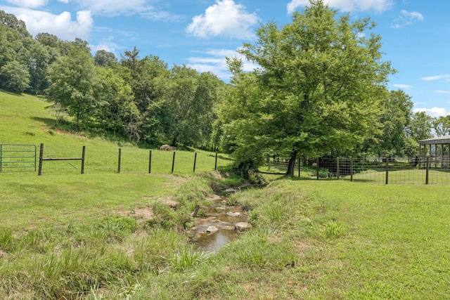 79 Clay Jones Rd, Taft, TN 38488 - photo 55