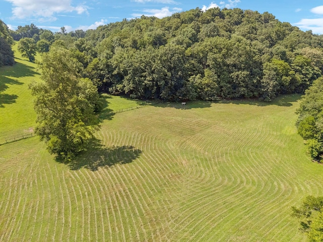 79 Clay Jones Rd, Taft, TN 38488 - photo 73