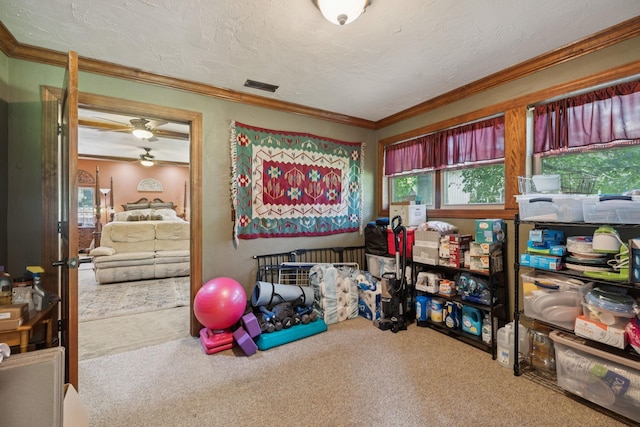 79 Clay Jones Rd, Taft, TN 38488 - photo 23