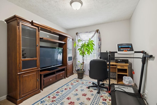 1804 Cason Trl, Murfreesboro, TN 37128 - office featuring a textured ceiling and light colored carpet