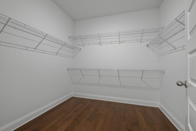 1551 Cedarbrooke Ln, Lebanon, TN 37090 - walk in closet with wood finished floors
