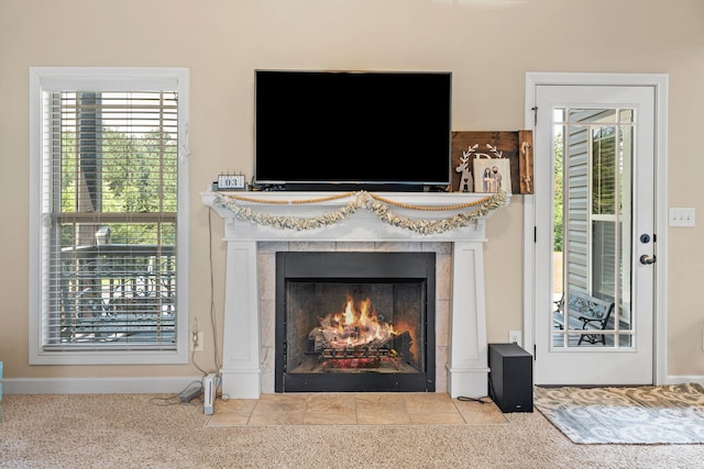 1372 Tidwell Switch Rd, Dickson, TN 37055 - detailed view of a fireplace with flush hearth and carpet flooring