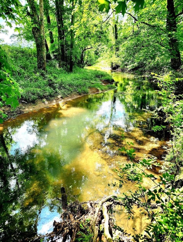 423 Adeline Dr, Smyrna, TN 37167 - water view