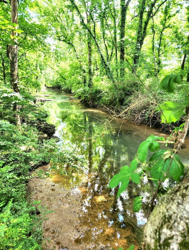 423 Adeline Dr, Smyrna, TN 37167 - view of wooded area