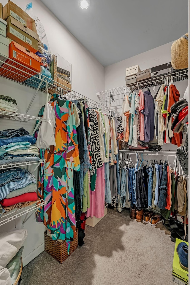 4316 Summercrest Blvd Unit 1020, Antioch, TN 37013 - view of walk in closet