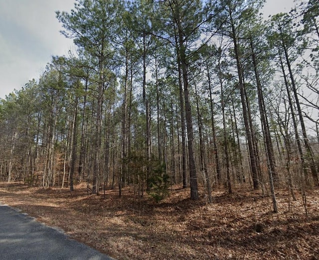 0 Cash School Rd, Enville, TN 38332 - photo 11