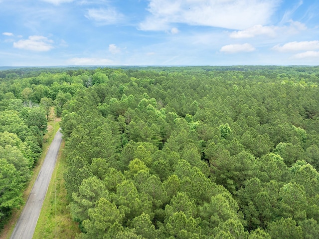 0 Cash School Rd, Enville, TN 38332 - photo 5