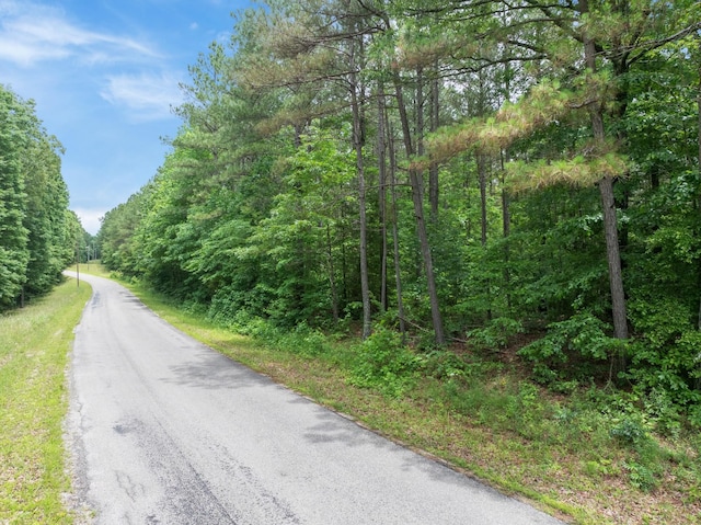 0 Cash School Rd, Enville, TN 38332 - photo 8