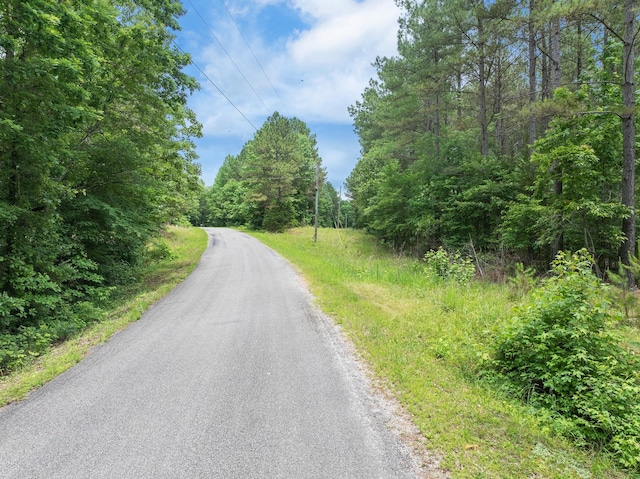 0 Cash School Rd, Enville, TN 38332 - photo 9