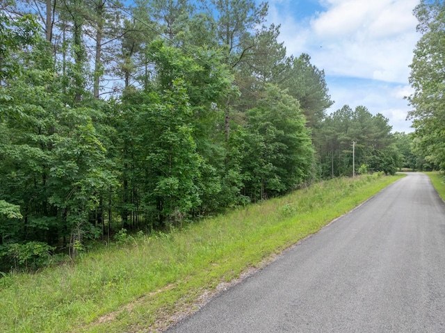 0 Cash School Rd, Enville, TN 38332 - photo 7