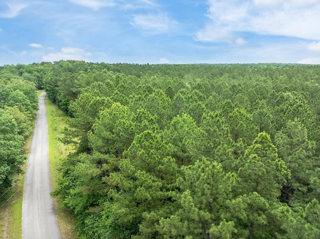 0 Cash School Rd, Enville, TN 38332 - photo 4