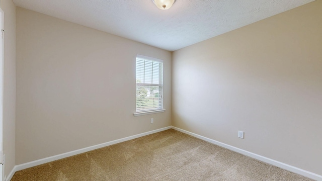 1095 Lady Nashville Dr, Hermitage, TN 37076 - carpeted empty room with baseboards