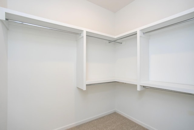 3044 Fernwood Ln, Columbia, TN 38401 - walk in closet with carpet