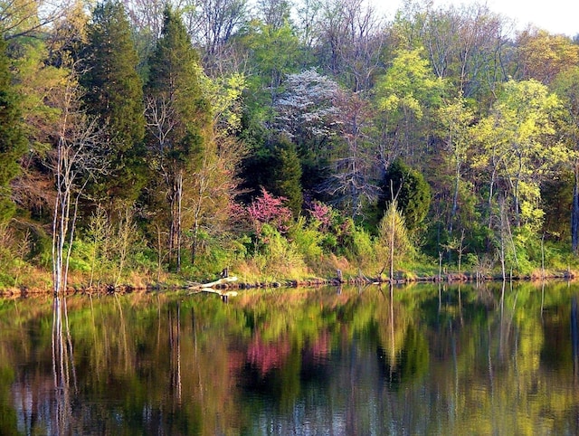321 Lakeway Ter, Spring Hill, TN 37174 - water view featuring a heavily wooded area