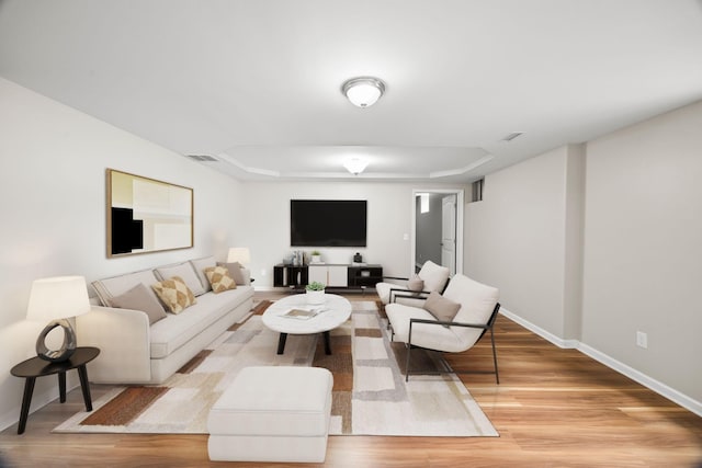 321 Lakeway Ter, Spring Hill, TN 37174 - living area featuring a raised ceiling and light wood-style floors