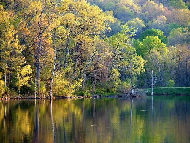 321 Lakeway Ter, Spring Hill, TN 37174 - water view with a heavily wooded area