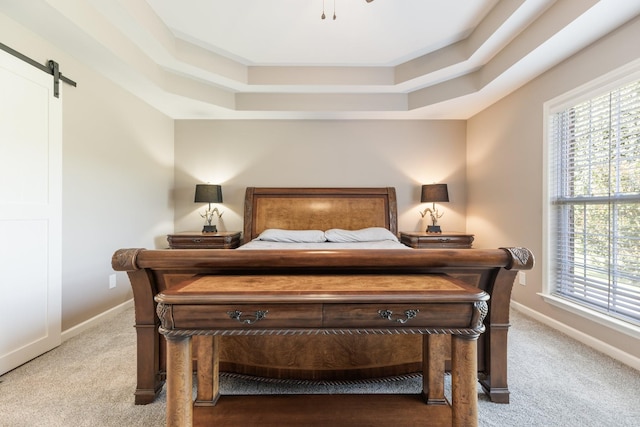 1057 The Long Run, Columbia, TN 38401 - carpeted bedroom featuring a raised ceiling and a barn door
