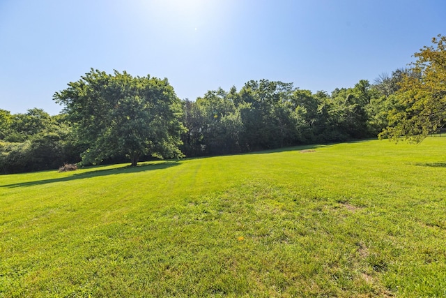 1057 The Long Run, Columbia, TN 38401 - view of grassy yard