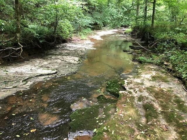 2270 Shuler Branch Rd, Ethridge, TN 38456 - view of undeveloped land