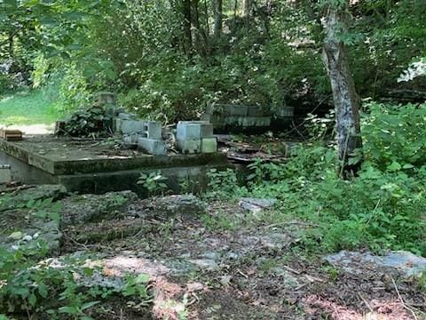 2052 Donahue Creek Rd, Pulaski, TN 38478
