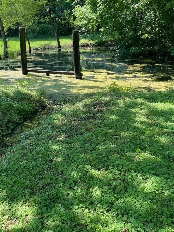2052 Donahue Creek Rd, Pulaski, TN 38478