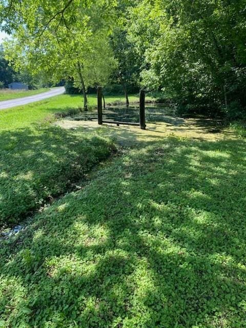 2052 Donahue Creek Rd, Pulaski, TN 38478